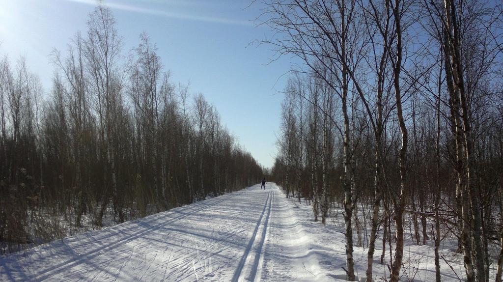 MUIDEN KAUPUNKIEN TUOTTEISTUSTILANNE Helsinki Kattava hoidon ja kunnossapidon tuotteistus, mutta erityisalueista vain leikki- ja skeittipaikkojen ja koirapuistojen varusteet Espoo Hyvät hoidon ja