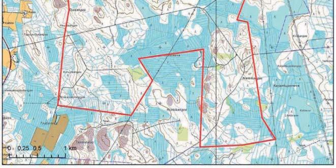 Vaikka alue on pieni, havaittiin järvellä useita lajeja, kuten liro, jänkäsirriäinen, telkkä, tukkasotka, tavi, mustakurkku-uikku, laulujoutsen ja kurki.