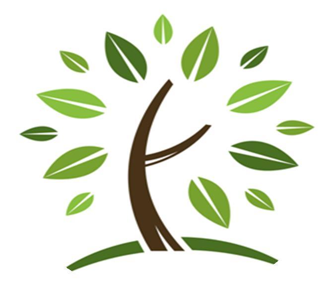 Value Propositions of Life City Concept Human-Centric Smart Community Services In co-operation with Finnish/Japanese industries, R&D organizations and