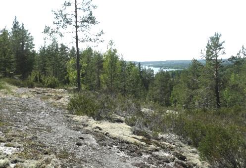 Osa tehdyistä selvityksistä on tehty nykyistä kaava-aluetta laajemmalta alueelta ja ne kattavat myös nyt laadittavana olevan kaavan alueet.