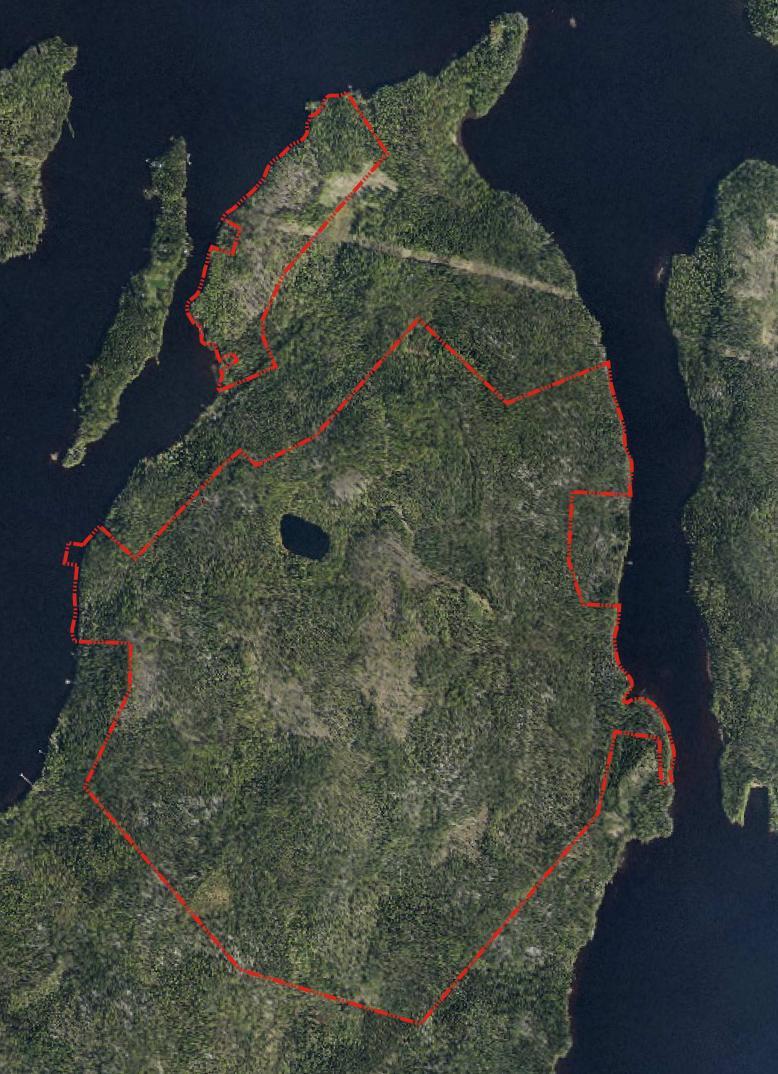 fi sähköposti:etunimi.sukunimi@ramboll.fi 2. LÄHTÖTIEDOT 2.1 Selvitys suunnittelualueen oloista Suunnittelualue koskee Jyväskylässä Päijänteen Vuoritsalon -saaressa Haapaniemen kylässä (74.