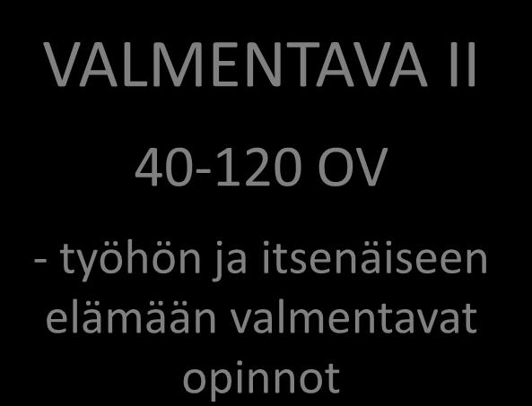 peruskoulutukseen tai työelämään