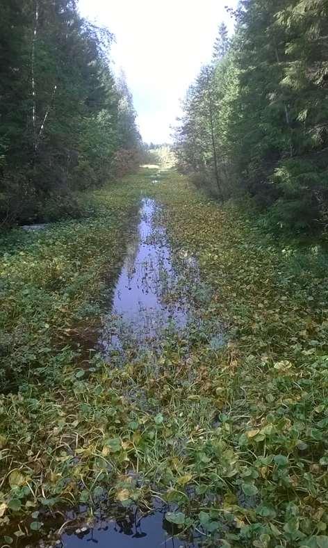 Vanhimpia työ- ja valmistuspaikkoihin kuuluvia muinaisjäännöksiä ovat pyyntikuopat, joista vanhimmat ovat kivikaudelta.