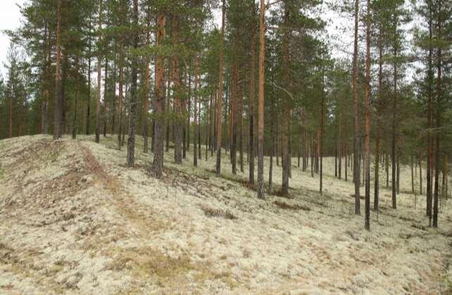 Kainuun maakuntaan vuoden 2015 loppuun saakka kuuluneen Vaalan kunnan alueella valtakunnallisesti ja maakunnallisesti arvokkaiden maisema-alueiden päivitys- ja täydennysinventoinnit on tehty osana