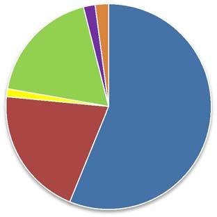 57 Vain nivelreumasta johtuvien kustannusten jakautuminen suoriin ja tuottavuuskustannuksiin oli samanlainen kuin koko aineistossa (54 % suorat kustannukset ja 46 % tuottavuuskustannukset).