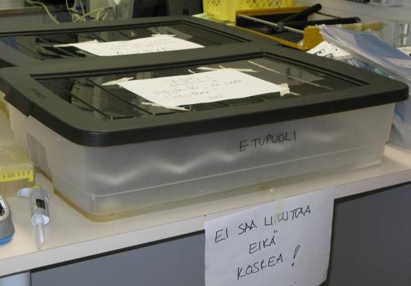 Osallistujien ilmoittamille yhteyshenkilöille lähetettiin sähköpostilla tuloslomake sekä linkit verkossa täytettäviin lomakkeisiin, joista osallistujat