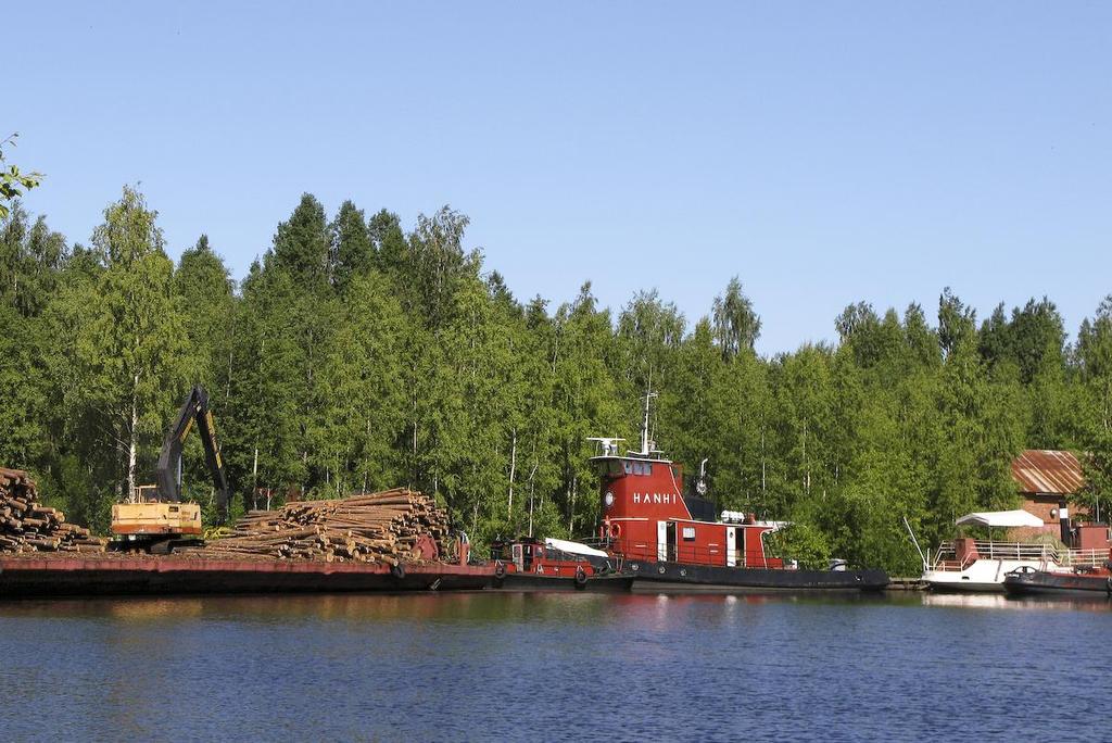 Kuva 3. Teollisuusalueen rantaa. Valokuva Markku Nironen. Kaartilan alueen itäosa on pääosin entistä peltoa. Kaartilantieltä erkanee ajoura rantaan. Rannassa on pieni laituri ja lauttasauna.