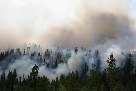 Metsäpalot ovat merkittävä nano- ja muiden