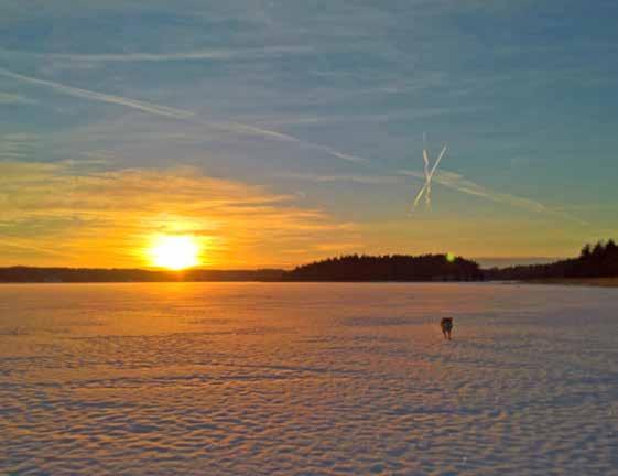 net ja toimiston ilmoitustaululta Pääsiäinen 14.4. 17.4.17 - Yllätyksiä ja karaoke (säävaraus) Talkoot la 22.4.17 - muonitus Kevätkokous su 23.4.17 Vappu ja kesäkauden avajaiset 29.