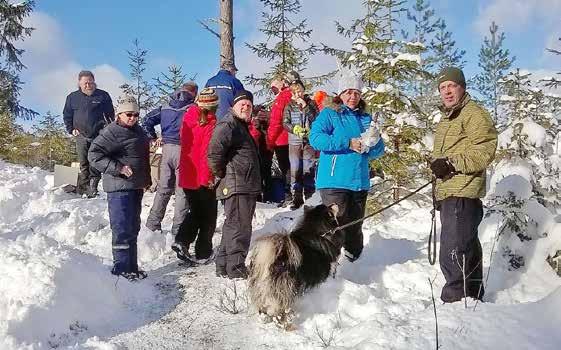 uimarantahiekkaa Kankaiden yhteen harsiminen ei käy kädenkäänteessä sillä yhden kankaan koko oli 20m pitkä ja 5m leveää ja niitä tuli 4kpl