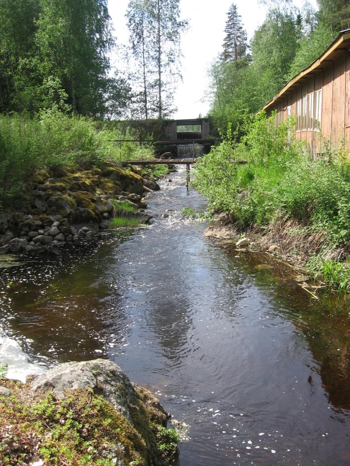 liittyviä rakennelmia.