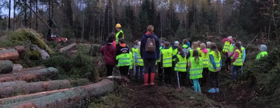 HALLINNON TARKASTUSKERTOMUS Metsäpelit-hankkeen