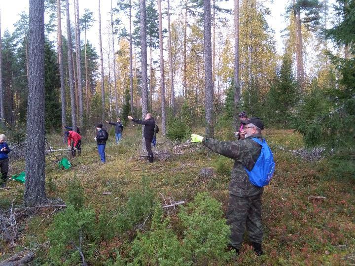 MENNEET KUVIN Metsäopintomatka vei