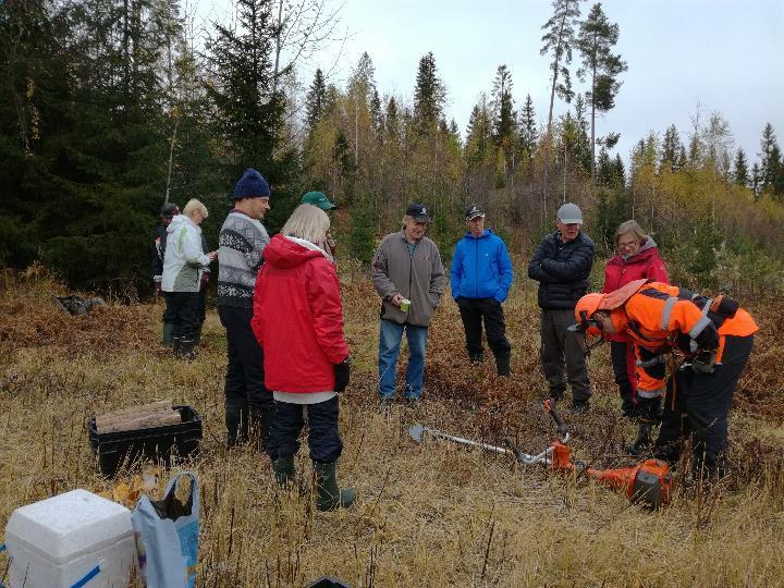 Yhteistyössä Wellamoopiston kanssa järjestettiin