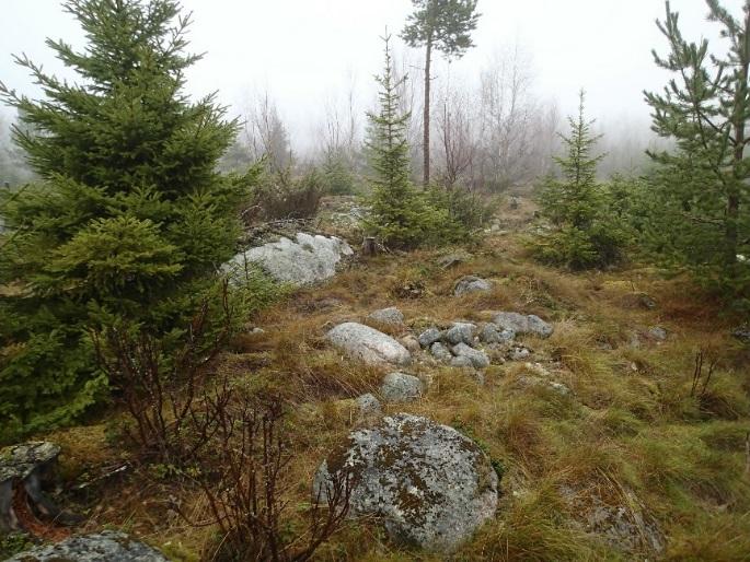 Etualalla oikealla olevien kivien takana näkyy viereisen majanpohjan