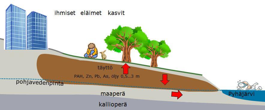 11 (22) 5.3 Käsitteellinen malli Suunnittelualueen käsitteellinen malli on esitetty kuvassa 4. Mallissa on kuvattu haitta-aineiden esiintyminen ja mahdollisia kulkeutumisreittejä kohteessa. Kuva 4.