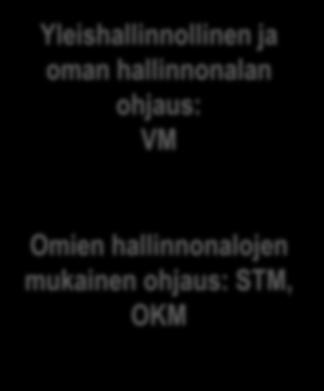 2. Digituen toimijat Toimintamalli Yleishallinnollinen ja oman hallinnonalan ohjaus: