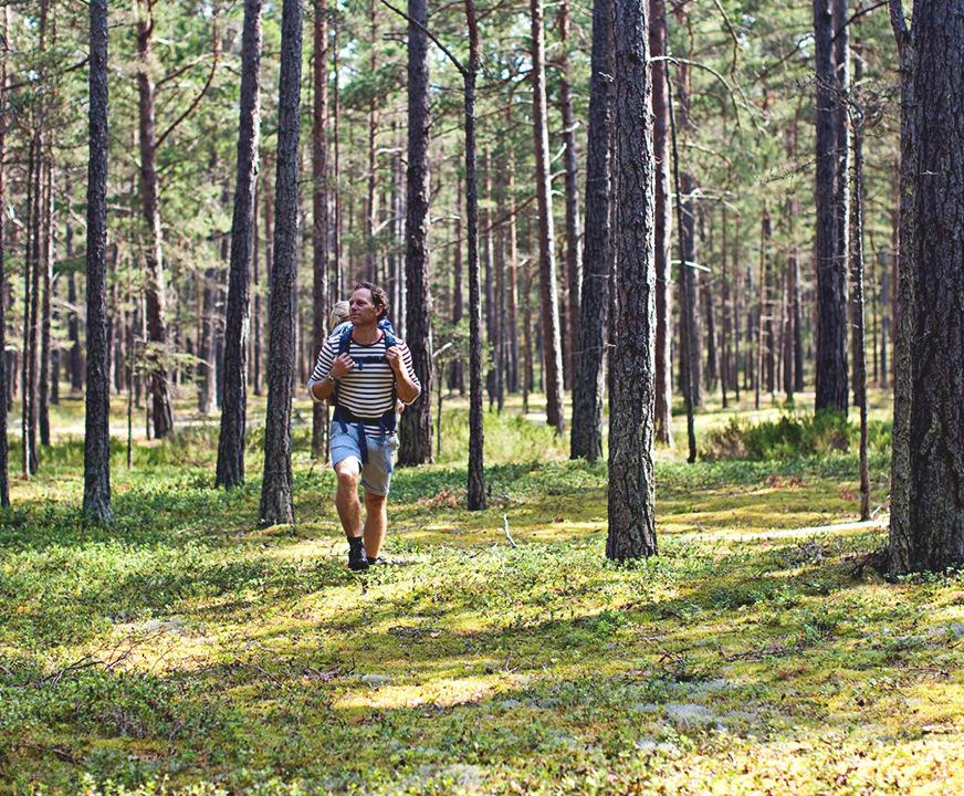 Nordean maa- ja metsätalousasiakkaiden hoitotapa Nordealla on koko maan kattava asiantuntijatiimi Asiakkuuksien hoito perustuu asiakasvastuullisuuteen.