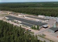 700 m² - perustettu