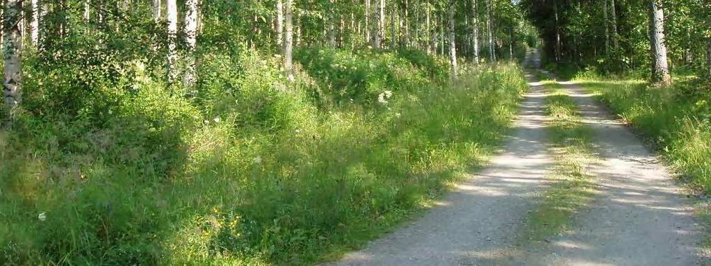 Rantemetsien puusto on varttunutta, Tahkomäentiehen rajoittuvat metsät vaihtelevat nuorista ja varttuneista metsistä taimikoihin.