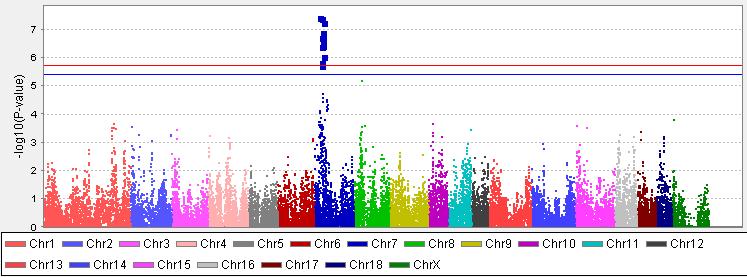 34 Kuva 6. P-arvojen (-log10) jakauma kromosomeittain emakon ikä ensimmäisellä porsimisella-ominaisuuden (AFF) suhteen. 5.2.