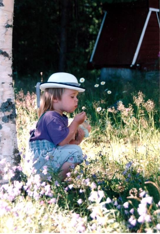 Hajuaisti Yhteydessä makuaistiin Tuottaa vahvempia muistijälkiä kuin muut aistit - > palauttaa muistoja (dementikot) Hajuilla voi vaikuttaa uniin ja niiden tunnesisältöön.