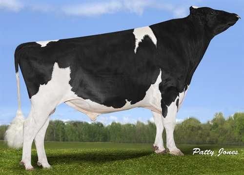 Unix CROTEAU LESPERRON UNIX 0200HO03913 NUMERO UNO x DOMAIN x GOLDWYN AMIGHETTI NUMERO UNO REGAN-ALH DOMAIN DAYA EX-93-5YR-CAN 7* RONELEE TOYSTORY DOMAIN REGAN-ALH G DESTINI