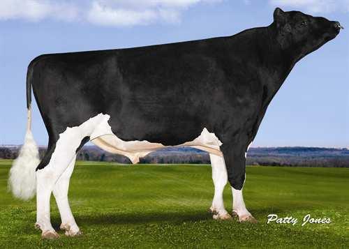 Sennet DUCKETT-BH SENNET 0200HO02667 G W ATWOOD x SHOTTLE x FREELANCE MAPLE-DOWNS-I G W ATWOOD MISTY SPRINGS SHOTTLE SIZZLINE VG-87-4YR-CAN 4* PICSTON SHOTTLE WILLSONA FREELANCE SIZZLE