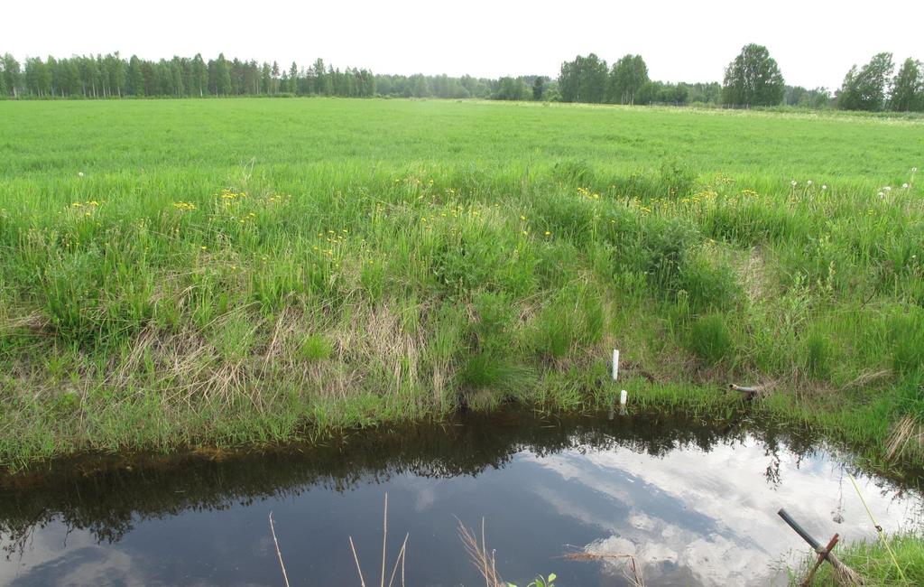 Kastelulla tai säätöojittamisella ei ollut merkitsevää