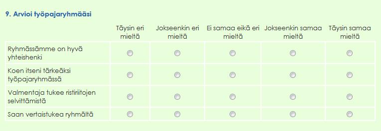 Työpajatoiminnan arviointikysymyksiä