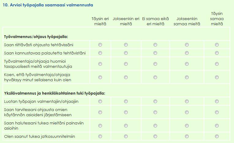 Työpajatoiminnan arviointikysymyksiä Työ-