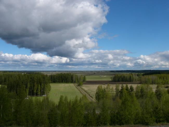 delle Mällinevan Natura 2000 alue (SCI) ja itäpuolelle alle 0,5 km:n etäisyydelle Kauhanevan suo (SL/luo maakuntakaavassa).