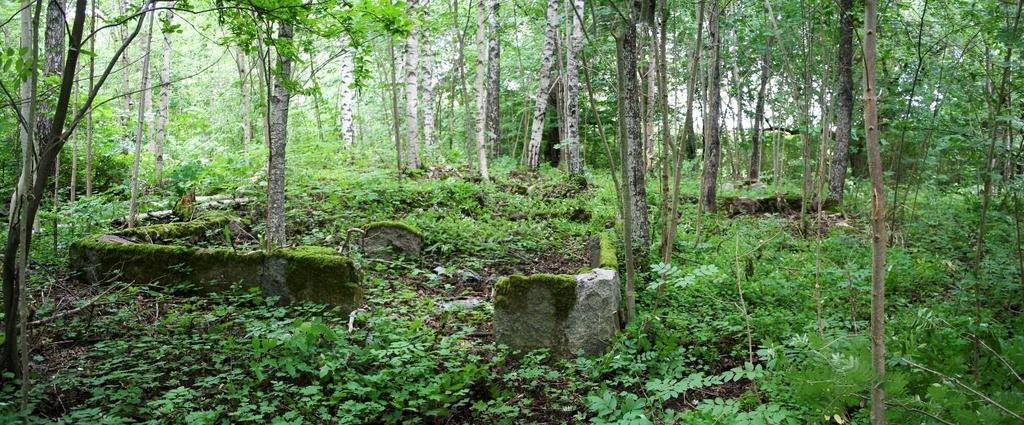11 Koekaivaus aloitettiin Gumnäsin peltoalueelta kaivamalla sinne seitsemän lounais-koillissuuntaista ja kolme länsiluode-itäkaakkosuuntaista koeojaa (Kartta 1 s. 4 sekä Kuvat 7 ja 9).