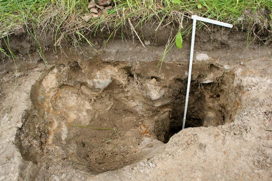 13 4.2 Tulokset 4.2.1 Peltoalue ja koeojat Ristikkäisten koeojien avulla Gumnäsin peltoalueen arkeologisesta potentiaalista saatiin hyvä käsitys.