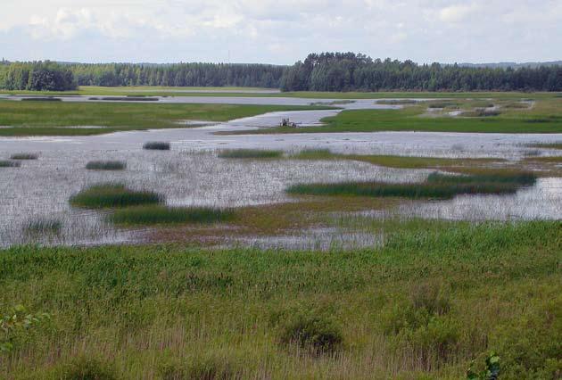 1 Tutkimusalueen kuvaus 1.1 Sysmäjärvi Sysmäjärvi on lintuvesityypiltään eteläinen lintujärvi, jossa rehevöityminen ja umpeenkasvu ovat linnuston kannalta ongelmallisia (taulukko 1).