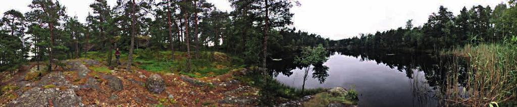musta, riittävää sydämen rohkeutta kohdata levollisesti uusia asioita, olosuhteita ja ihmisiä.