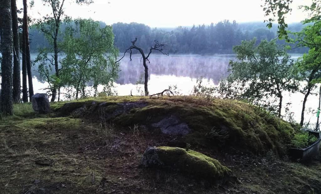 Päätimme aloittaa järjestelmällisen hoitohenkilökunnan kouluttamisen Freddy Heimschin hengessä Eila Väisäsen, Helena Pihlströmin ja Pirkko Tolmusen luoman ohjelman puitteissa.