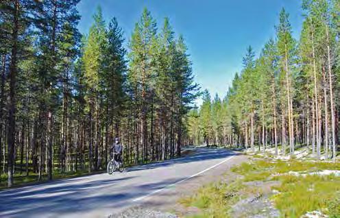 Osaston kokenut retkipyöräilijä antaa mielellään vinkkejä retkelle pyrkiville ja esittelee koko Suomen kattavaa pyöräilykartastoa.