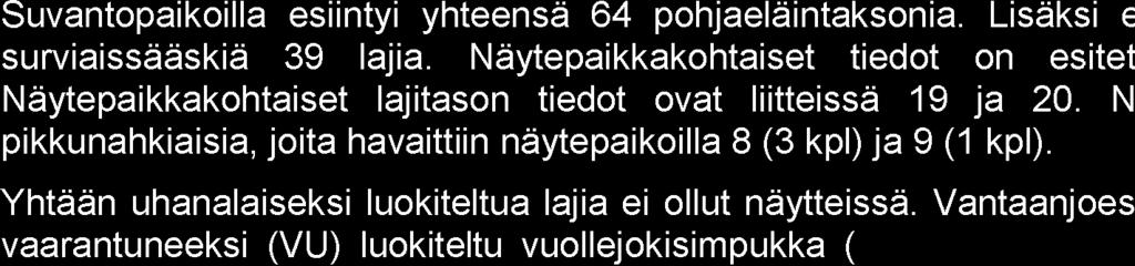 Unio crassus Näytepaikka 1. Vanhankaupunginkosken niska 2.