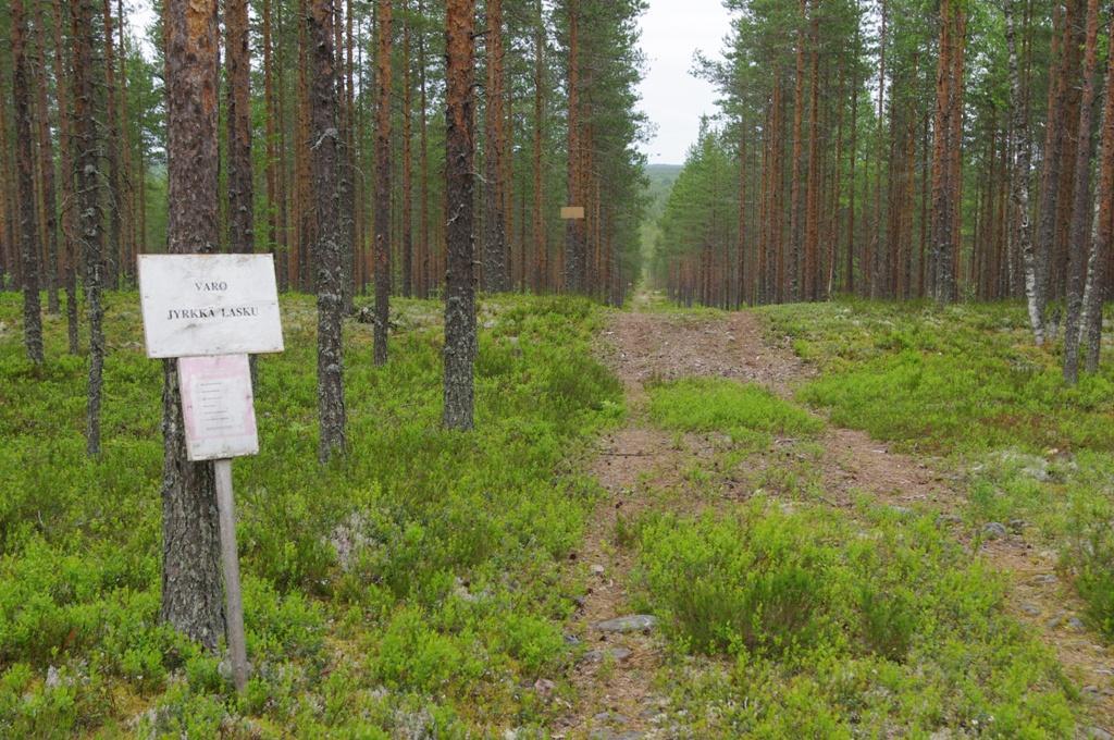 9 Harjujensuojelu- ja Natura-alueita ei ole tämän selvityksen yhteydessä tarkemmin tutkittu, koska niistä on valtakunnallisen harjujensuojeluohjelman ja Naturan valmistelun yhteydessä koottu