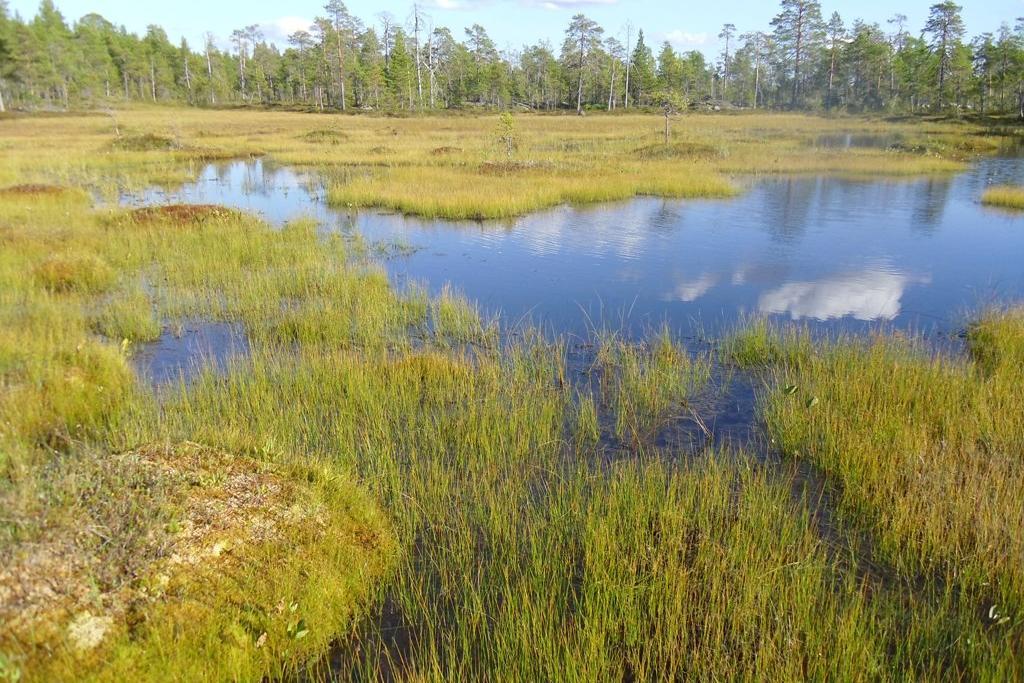 Kymmeniä