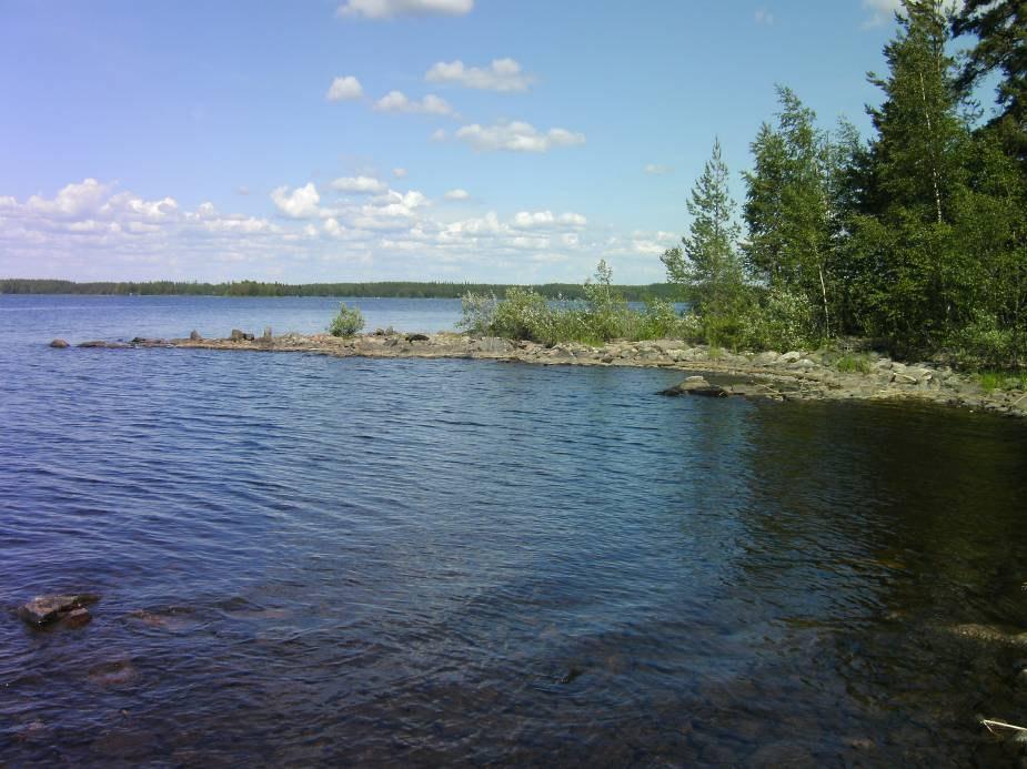 lähes kauttaaltaan. 3.4 Maisema Kuva 8. Erityisesti niemialueen maisemakuva on kaunis ja yhtenäinen.