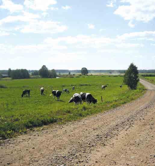 Pohjois-Pohjanmaan