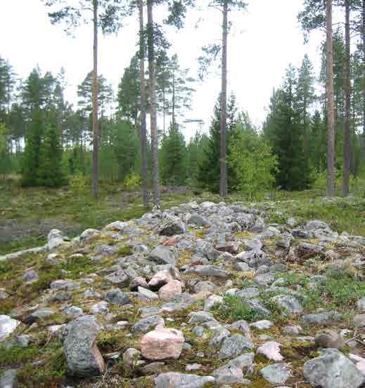 maisema-alueiden