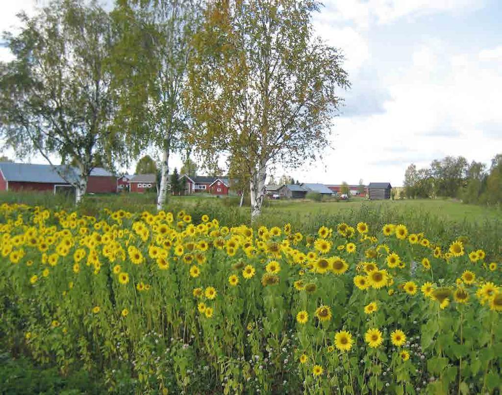 ja maakunnallisesti