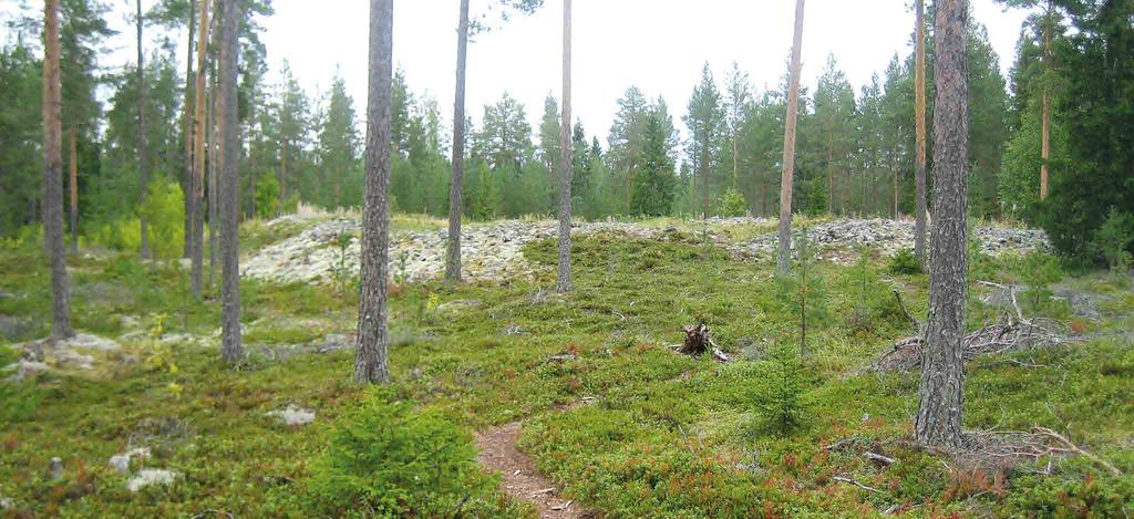POHJOIS-POHJANMAAN ARVOKKAIDEN MAISEMA-ALUEIDEN PÄIVITYSINVENTOINTI 131 KASTELLIN JÄTINKIRKKO Kohteen aikaisempi nimi ja arvoluokka Uusi kohde Kunta: Raahe Kuvailu Kastellin jätinkirkko sijaitsee