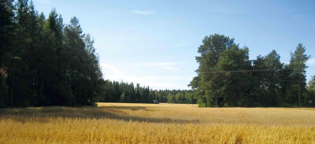POHJOIS-POHJANMAAN ARVOKKAIDEN MAISEMA-ALUEIDEN PÄIVITYSINVENTOINTI 163 Arviointiteksti Pyhäjoen taajama on maisemakuvaltaan hieno, arvokas ja mieleen jäävä kokonaisuus.