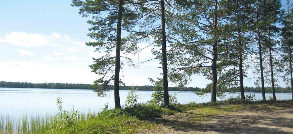 POHJOIS-POHJANMAAN ARVOKKAIDEN MAISEMA-ALUEIDEN PÄIVITYSINVENTOINTI 184 VIITASTENJÄRVEN RANTAMAISEMA Kohteen aikaisempi nimi ja arvoluokka Viitanen.