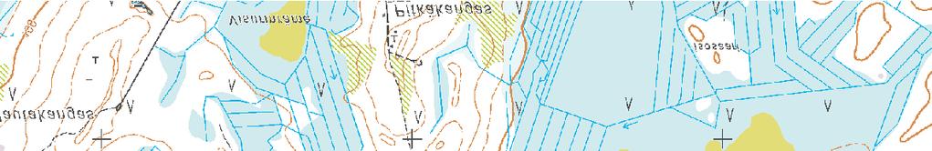 arvokas maisema-alue,