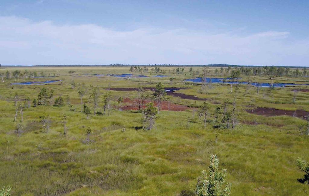 POHJOIS-POHJANMAAN ARVOKKAIDEN MAISEMA-ALUEIDEN PÄIVITYSINVENTOINTI 192 HIRVISUO Kohteen aikaisempi nimi ja arvoluokka Uusi kohde Kunta: Oulu, Pudasjärvi Kuvailu Hirvisuo sijaitsee Oulusta Kuusamoon
